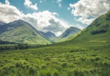 Companies doing their bit against climate change
