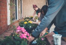 The Garden Trading Company acquired by premium British brand Joules in £12.5m deal
