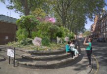 Louis Vuitton, Cadogan, Moët and Chandon and SUGi partner together on second rewilding project in Chelsea, London – Serenity Forest