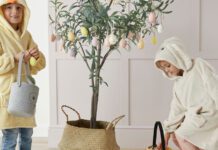 Dunelm Group Reports Strong Sales Growth