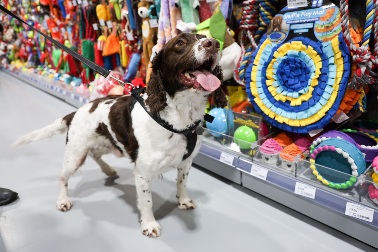 Jollyes Opens New Pet Store In York – Retail News And Events