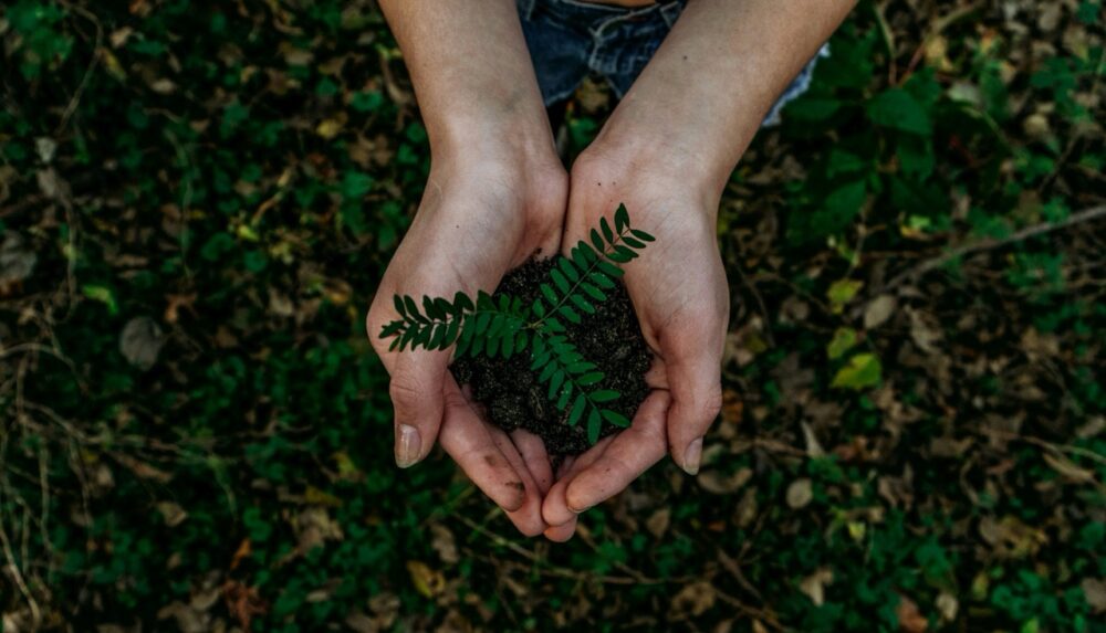 Sustainable Streaming: Reducing The Environmental Impact Of Live Dealer Games 2 noah buscher x8ZStukS2PM unsplash 1 Large