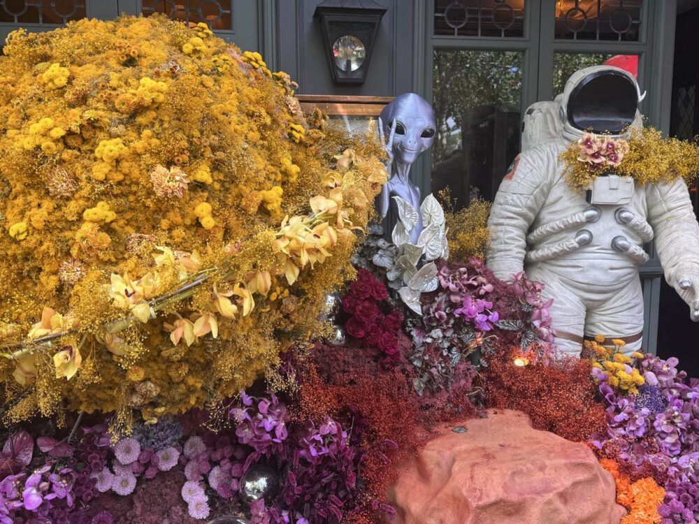 Chelsea in Bloom 2026 - Taken outside the Ivy