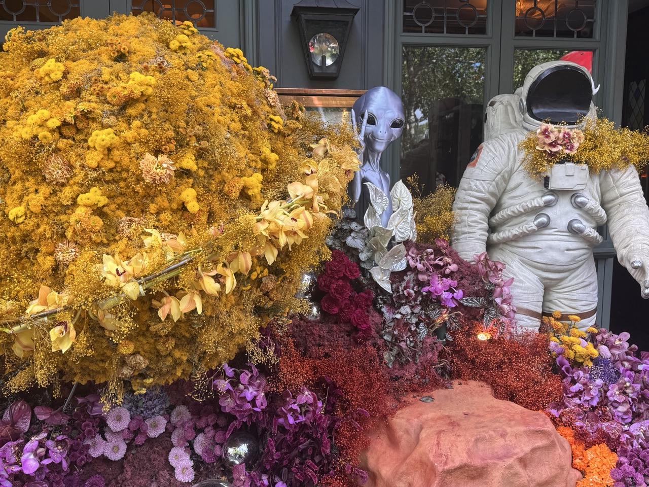 フォクシー Rose Blossom Chelsea In Bloom 2026 Is Out Of This World
