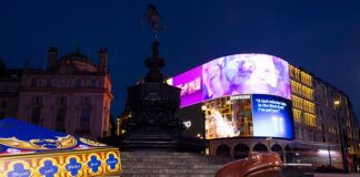 Giant chocolate frog sculpture beside an oversized open Chocolate Frog box at the Shaftesbury Memorial Fountain in Piccadilly Circus at night, with the illuminated screens behind